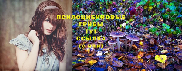 спиды Алзамай