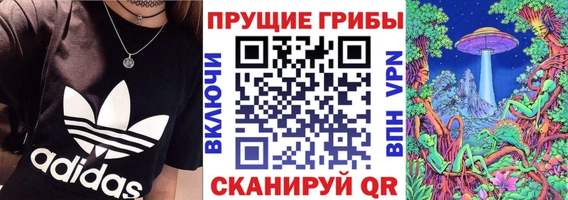 Галлюциногенные грибы Psilocybe  Фёдоровский 